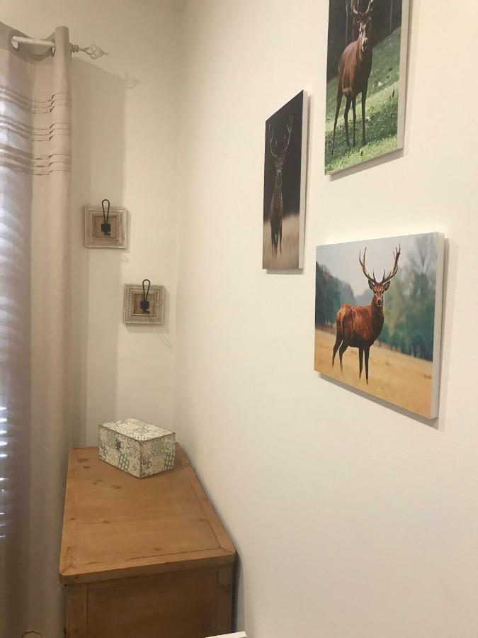 Apartament Neret II Σορτ Εξωτερικό φωτογραφία